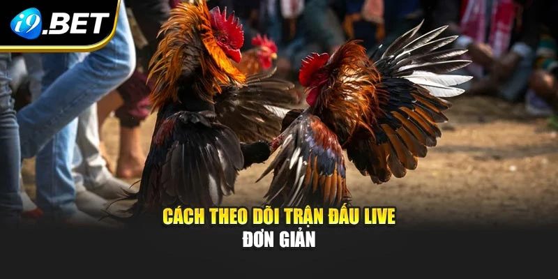Cách theo dõi trận đấu live đơn giản